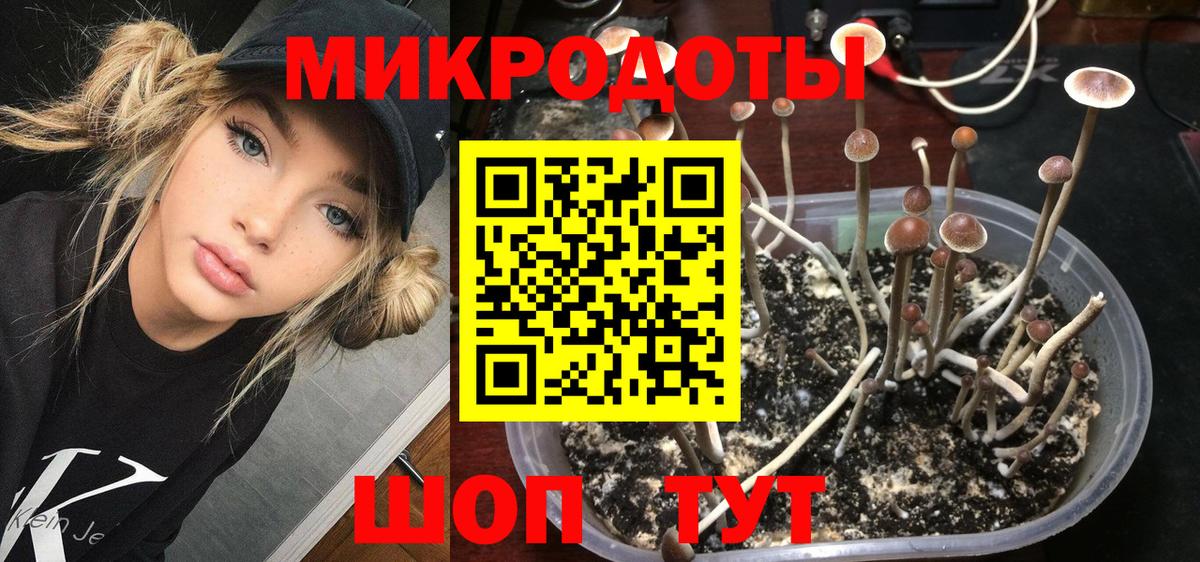 Галлюциногенные грибы MAGIC MUSHROOMS  Галлюциногенные грибы мицелий  Вход с VPN  Мичуринск 